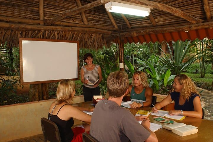 1- or 2-Week Spanish Immersion Program in Tamarindo