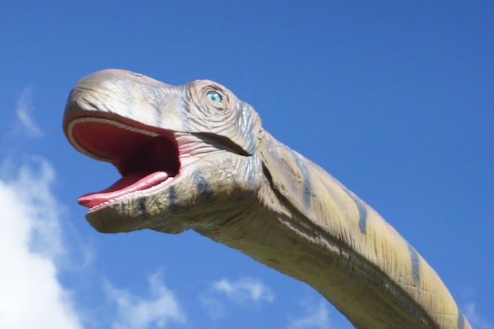 Dino Park and Blue River Resort Adventure in Rincon de la Vieja from Tamarindo