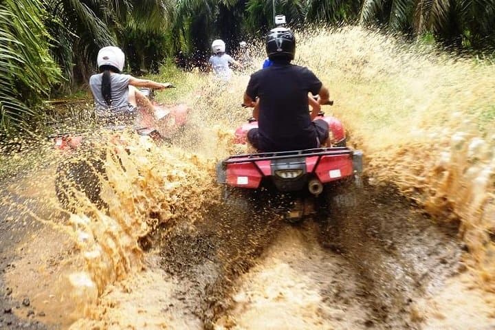 ATV & Canopy Tour From Flamingo Beach