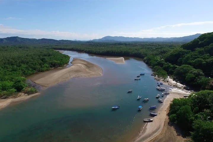 Tamarindo River Boat Tour