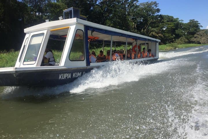 Tamarindo wildlife Estuary boat ride tour 1 hour and 45 minutes