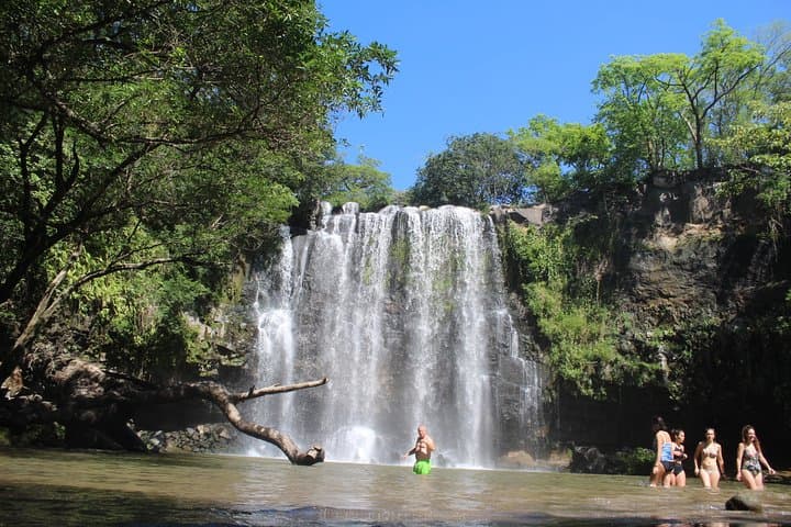 Sloth tour and Wildlife Encounter