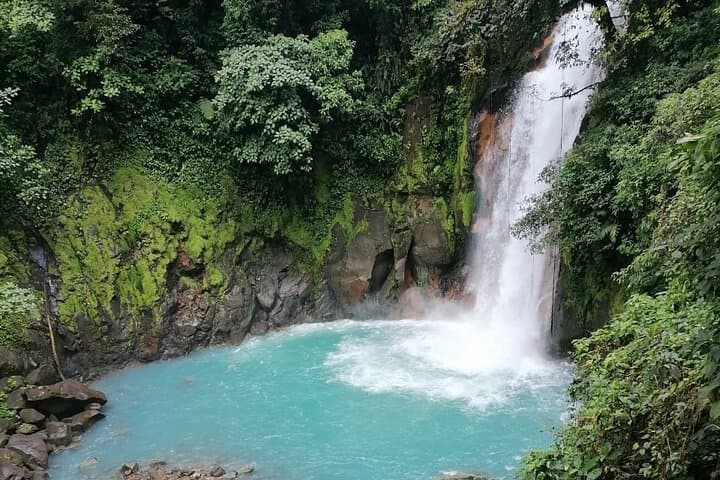 Premium Tour:Sloths and Río Celeste y Cortez Waterfalls (Tenorio Volcano Park)