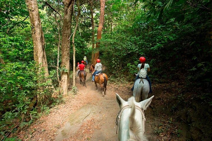 Buena Vista Full Day With Private Guided Multi-Activities 12 in 1