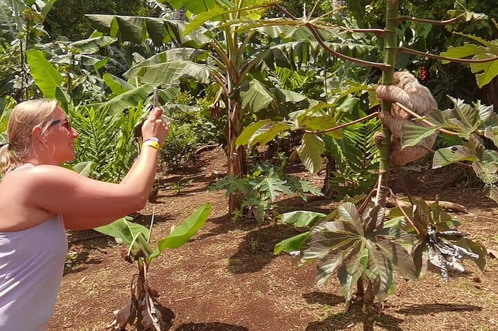 Rain forest, Wild life, Waterfall and Chocolate Private Tour