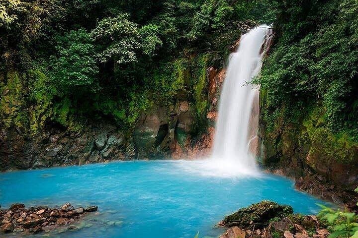 Rio Celeste Falls+Rain Forest+Tubing+Slothful Shrine