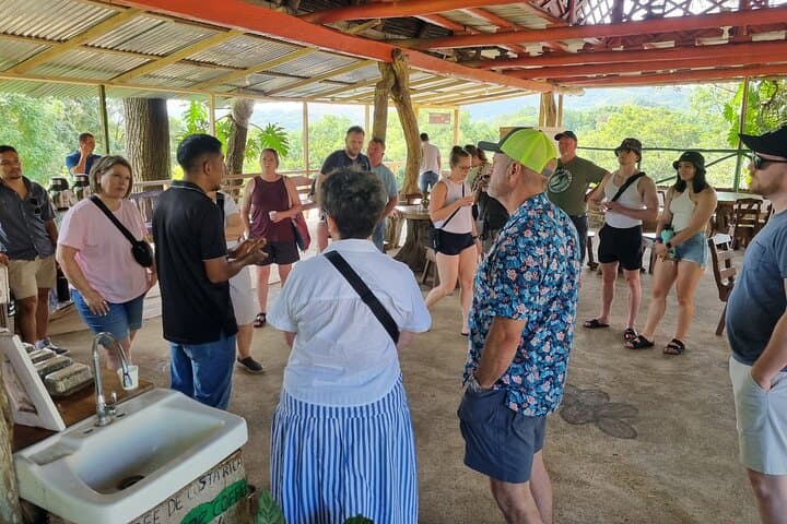 Coffe Tour and Cultural Experience on the Blue zone of Nicoya
