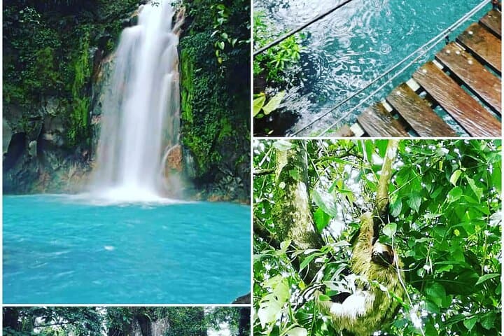 RIO CELESTE HIKE +SLOTHS & WILDLIFE WATCHING Combo