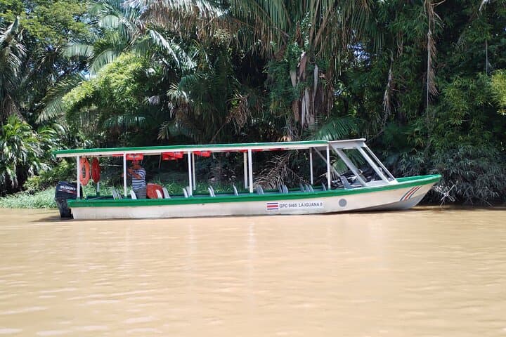 Palo Verde National Park Tour