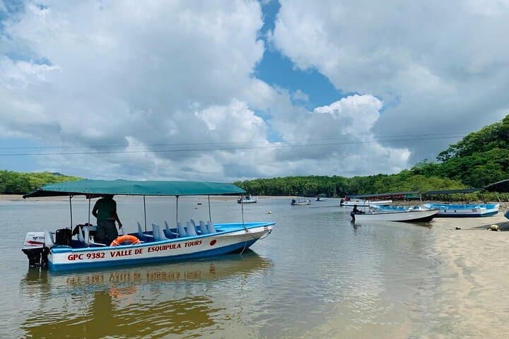 Boat adventure with wildlife viewing in Tamarindo