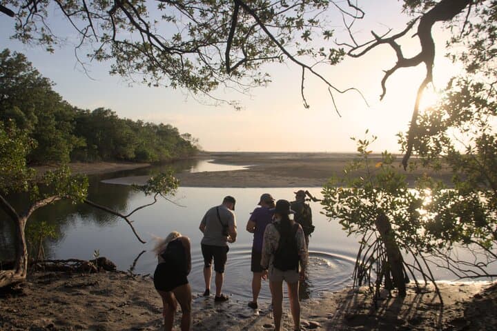 Avellanas Wildlife Walk