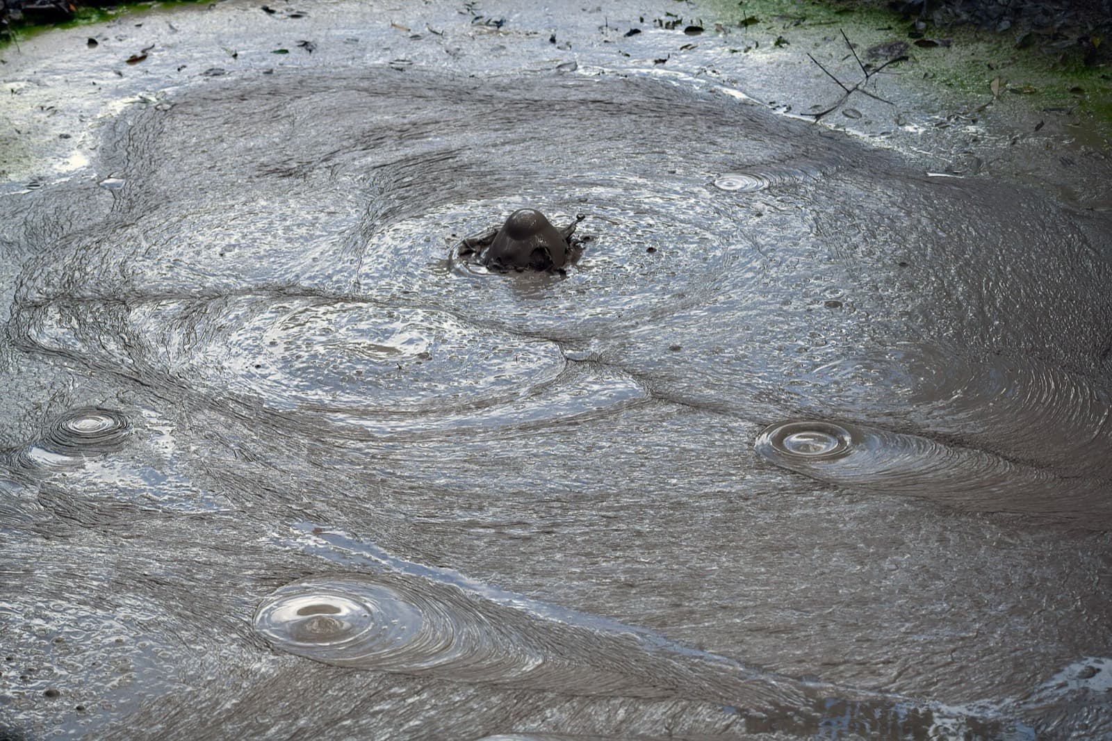 A bubbling mud pot in Rincón de la Vieja National Park