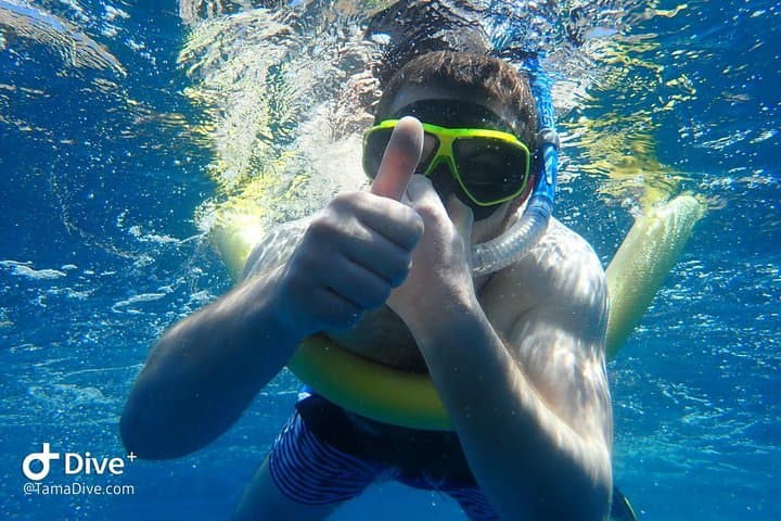 Snorkeling Tours
